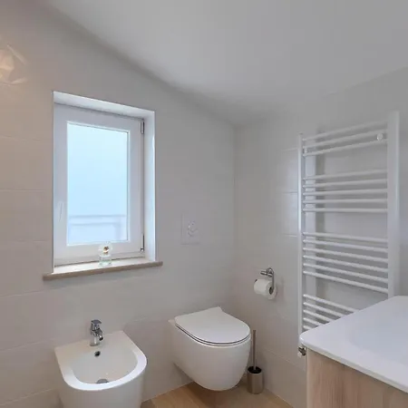 Camellia Trget * Trgetari