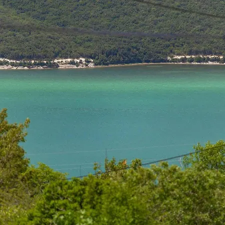 Camellia Trget * Trgetari