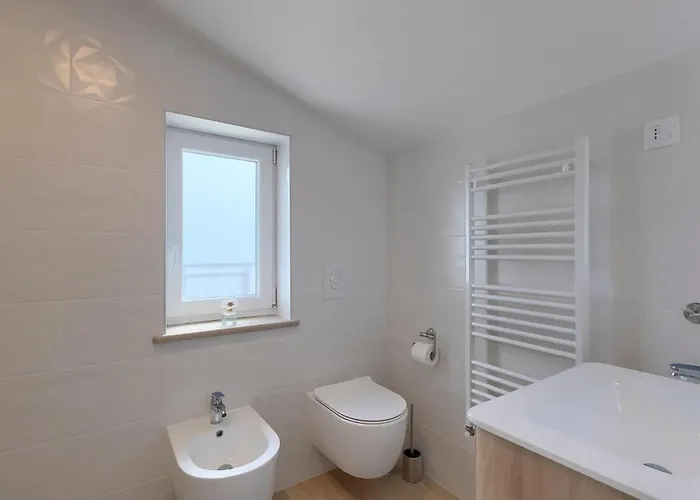 Camellia Trget * Trgetari