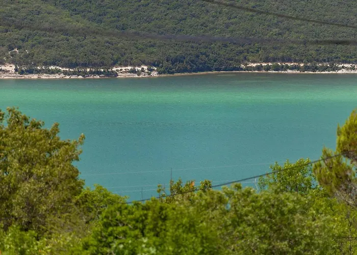 Camellia Trget * Trgetari