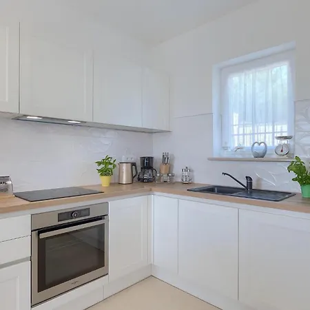 Camellia Trget * Trgetari