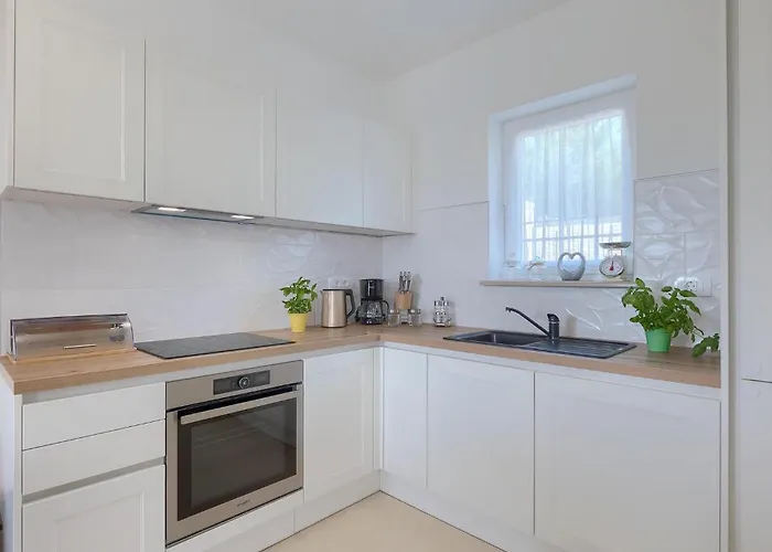 Camellia Trget * Trgetari